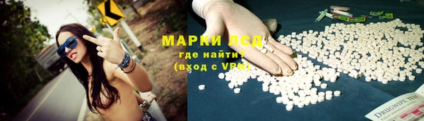 индика Баксан