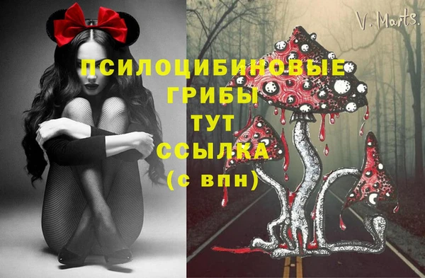 марки lsd Белокуриха