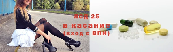 индика Баксан