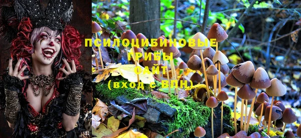 индика Баксан