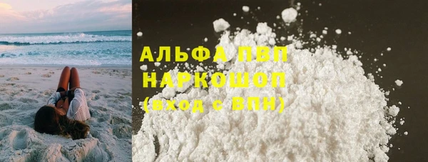 ПСИЛОЦИБИНОВЫЕ ГРИБЫ Беломорск
