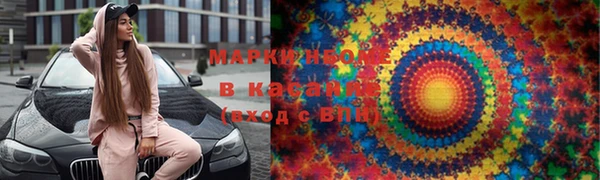 индика Баксан
