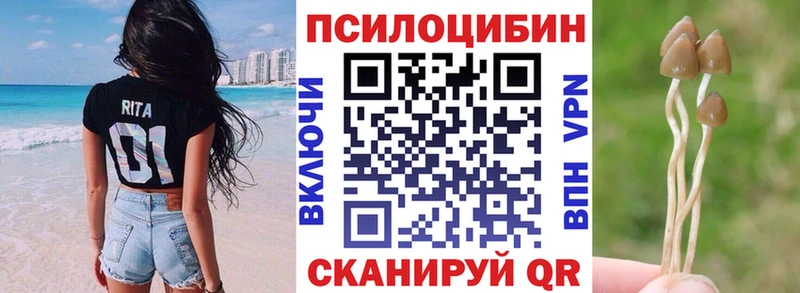 Псилоцибиновые грибы GOLDEN TEACHER  даркнет состав  Шлиссельбург  сколько стоит 
